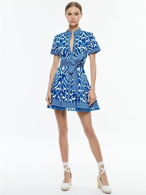 alice + olivia Blue and White Ikat Dress